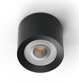 Loxone Spot LED en saillie RGBW Arbre Anthracite