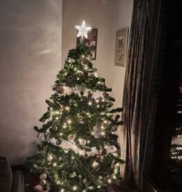 Aigostar Peak Christmas star 17 cm Light string with 3AA battery (Warm white)