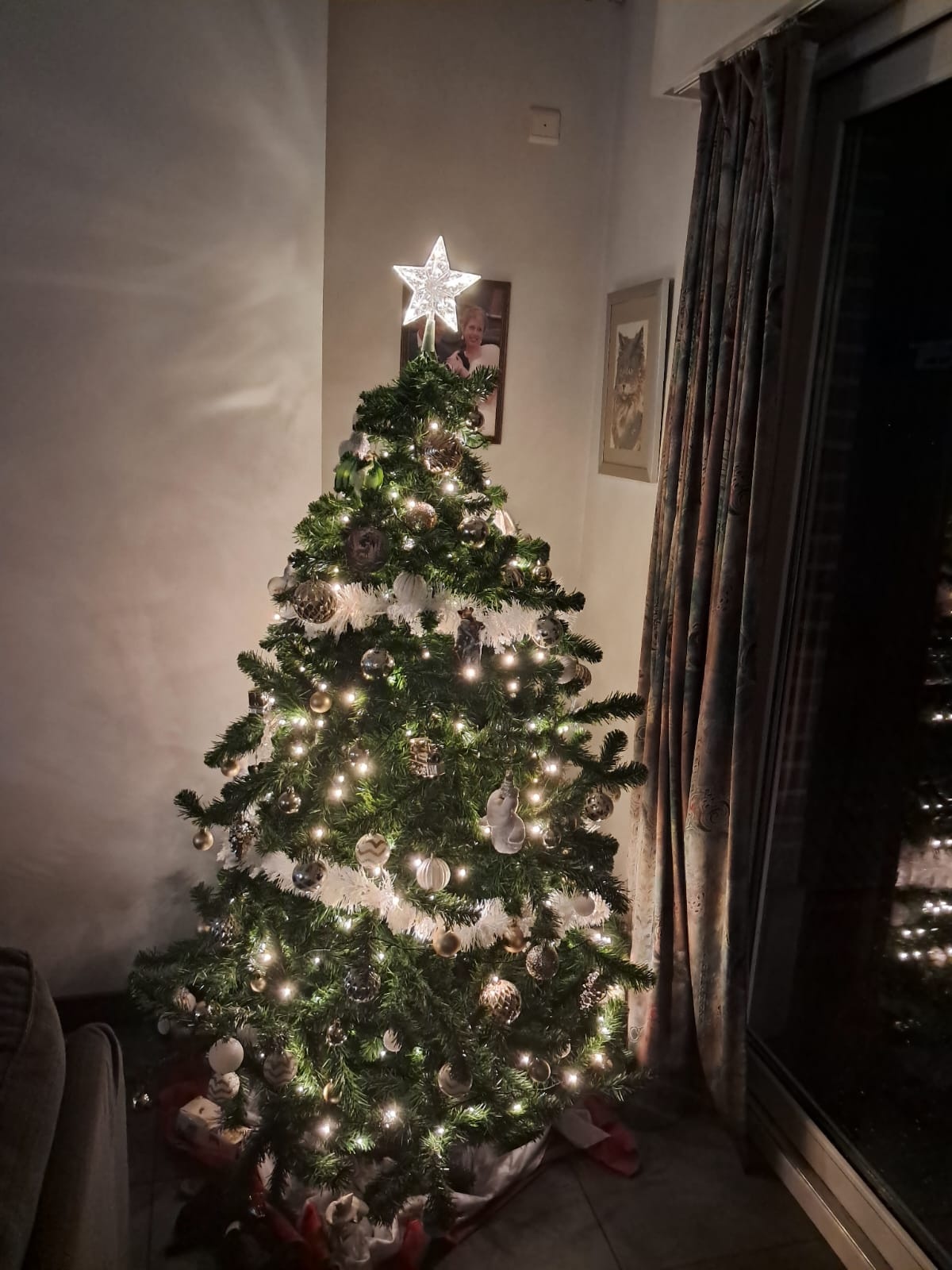 Aigostar  Peak Christmas star 17 cm Light string with 3AA battery (Warm white)