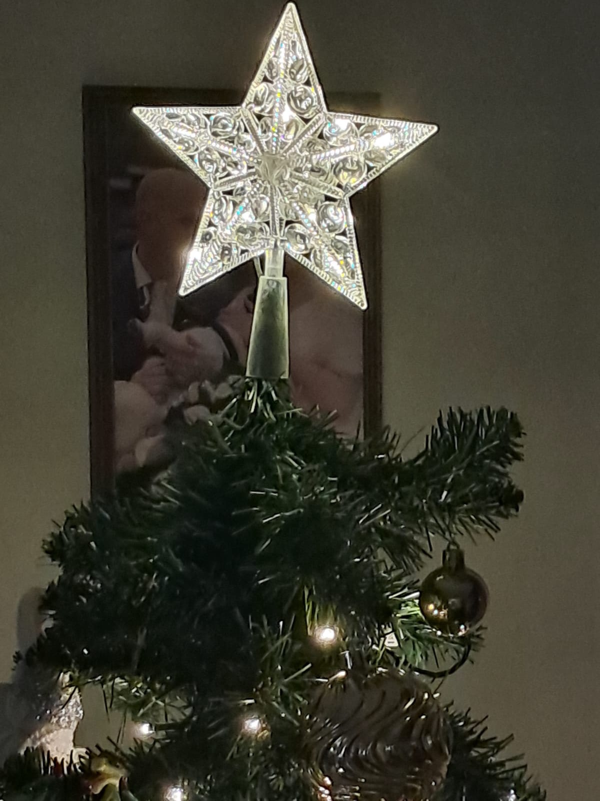 Aigostar  Peak Christmas star 17 cm Light string with 3AA battery (Warm white)