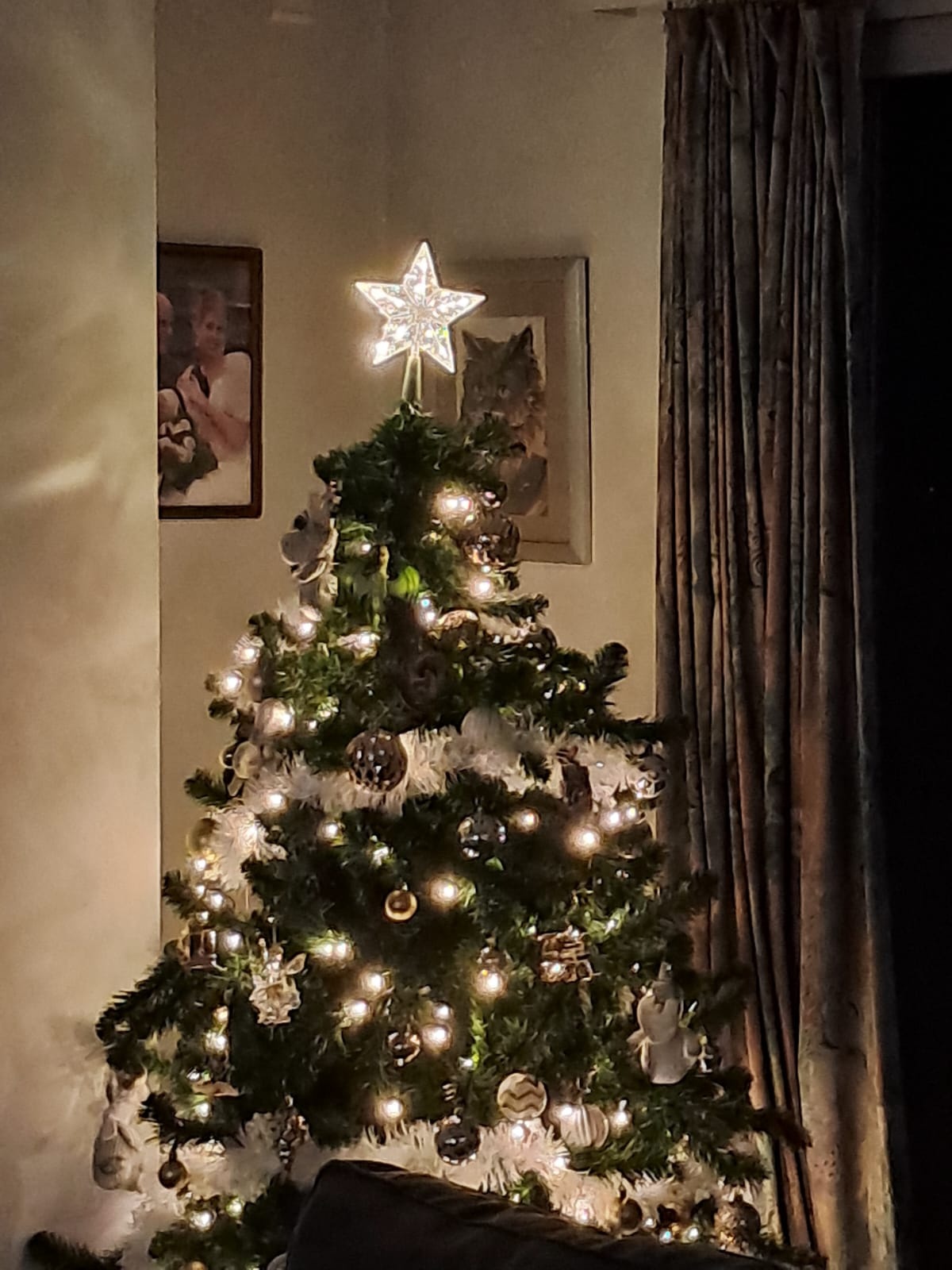 Aigostar  Peak Christmas star 17 cm Light string with 3AA battery (Warm white)