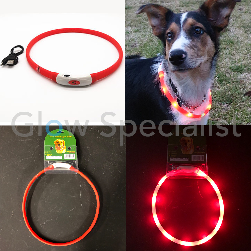 led dog collar rechargeable