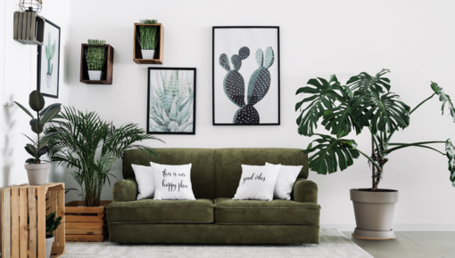 Order an air-purifying houseplant that can convert CO2 into oxygen in your home. These plants also provide better air humidity.
