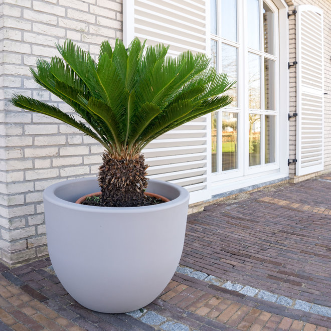 bus Zonnig met tijd Buitenplanten bij Green Bubble - Gratis geleverd - Green Bubble