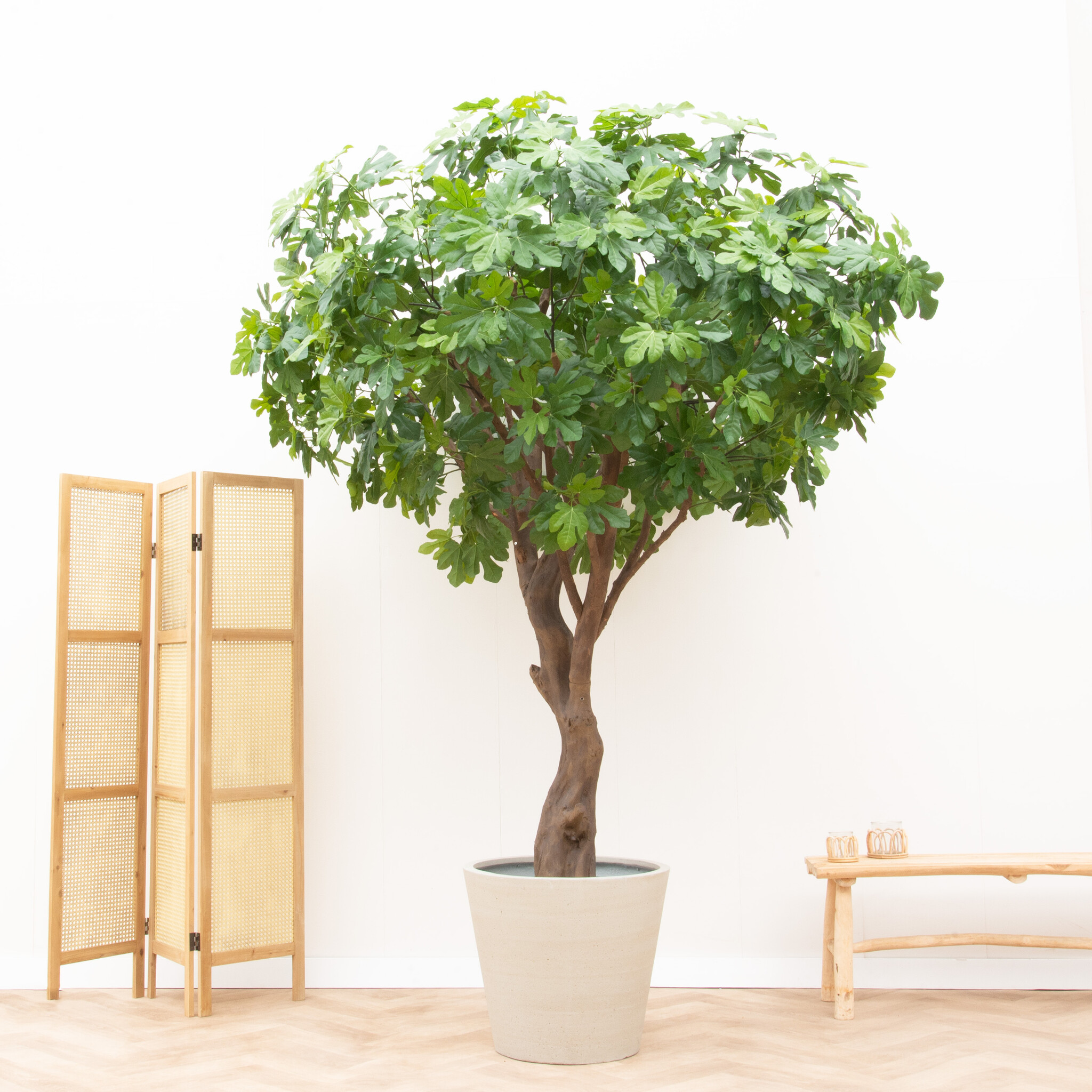Artificial fig tree deluxe 250cm Green Bubble