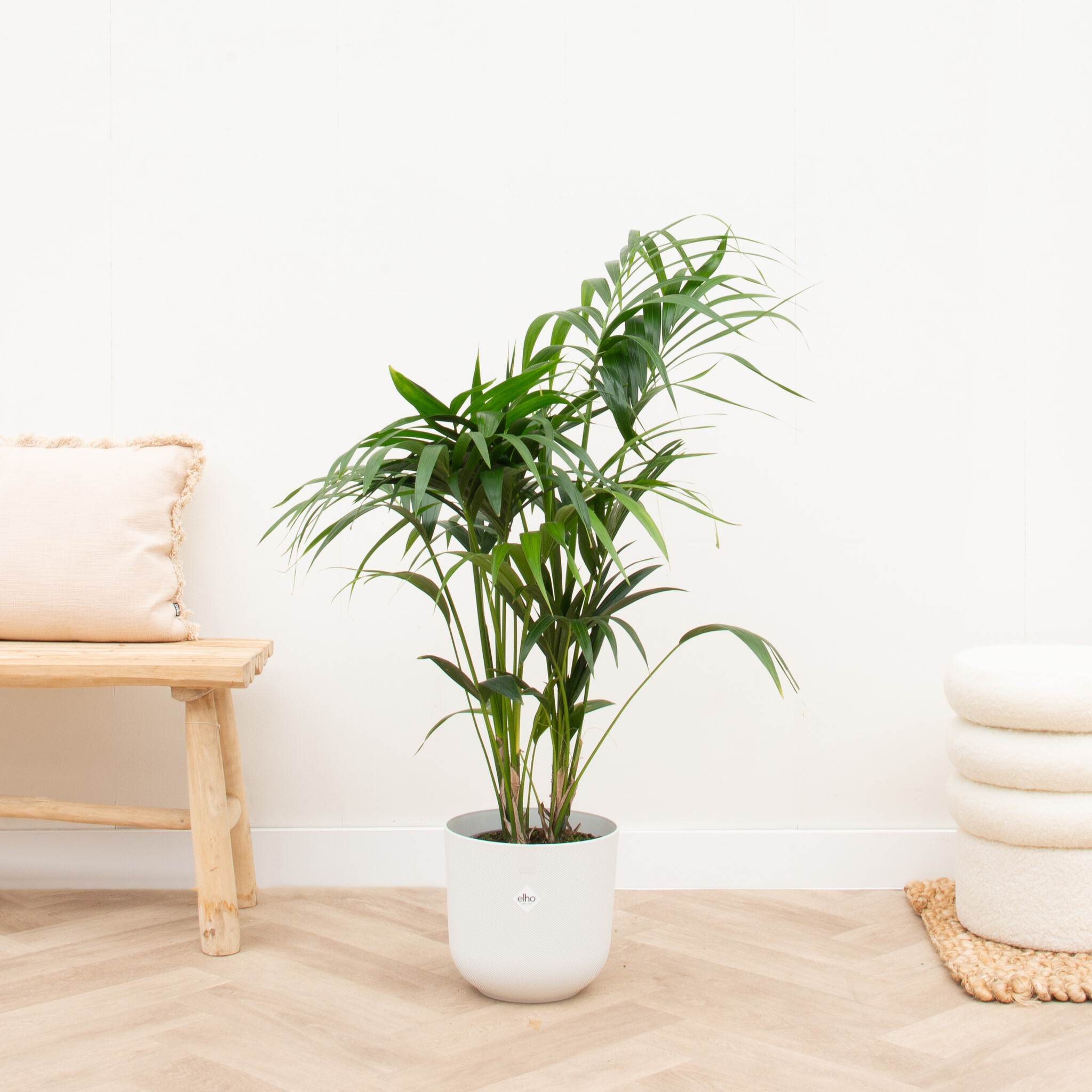 Plante artificielle d'intérieur palmiers - 130cm Couleur vert