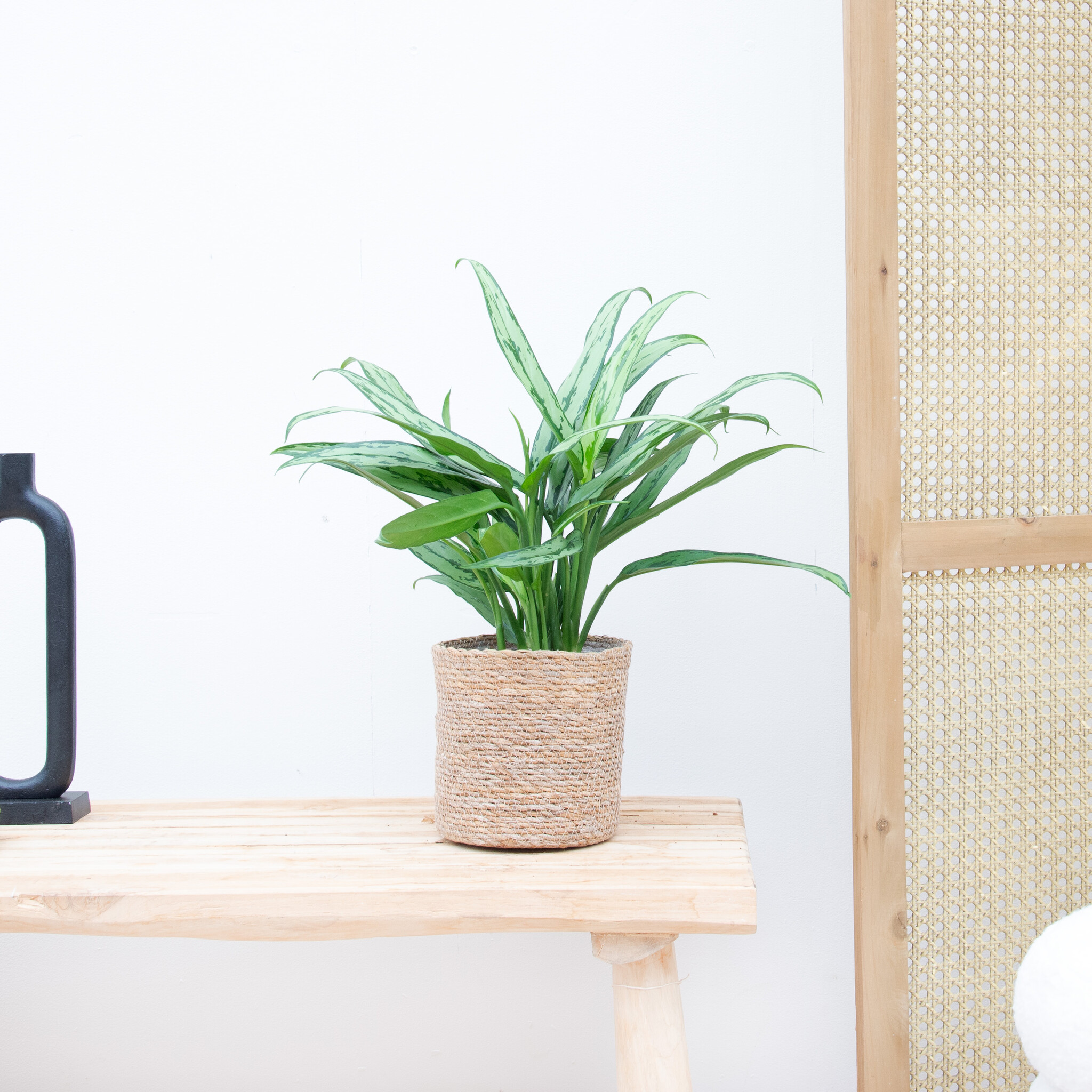 Plante Artificielle Aglaonema 'Grand Renard' 100 Cm | Feuillage Vert Réaliste Avec Pot Doré | Décoration Intérieur Durable