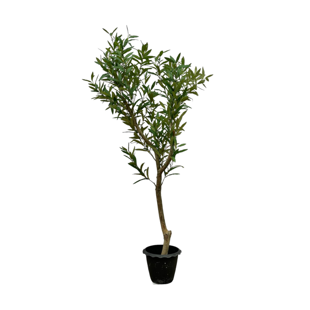 Olivier Artificiel D'extérieur EMERALD - Wilhelmina Designs