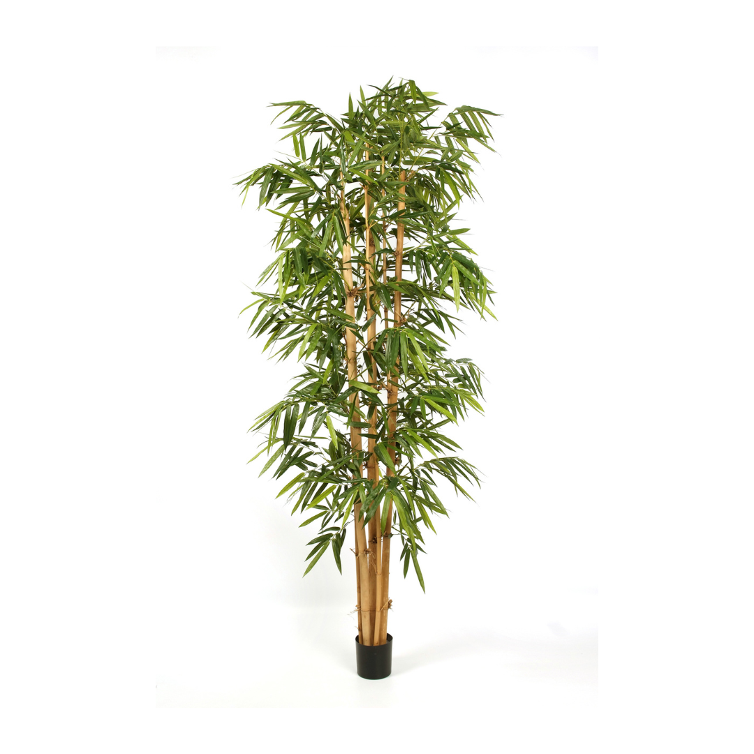 Visual Reference: Artificial Bamboo New Giant 240 Cm