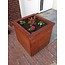 Plantenbak | Hardhout | 65x65x65