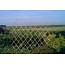 Houthandel Bos Bamboe Trellis | Harmonica