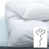 Personal Sleep Pozzitional 90% donzen dekbed