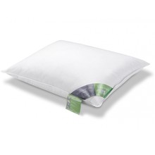 Vandyck ganzendons hoofdkussen