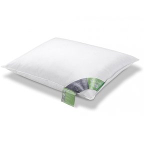 Vandyck ganzendons hoofdkussen