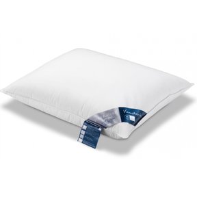 Vandyck 3-kamer donzen hoofdkussen zacht