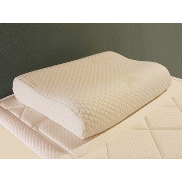 Bio traagschuim neksteun hoofdkussen