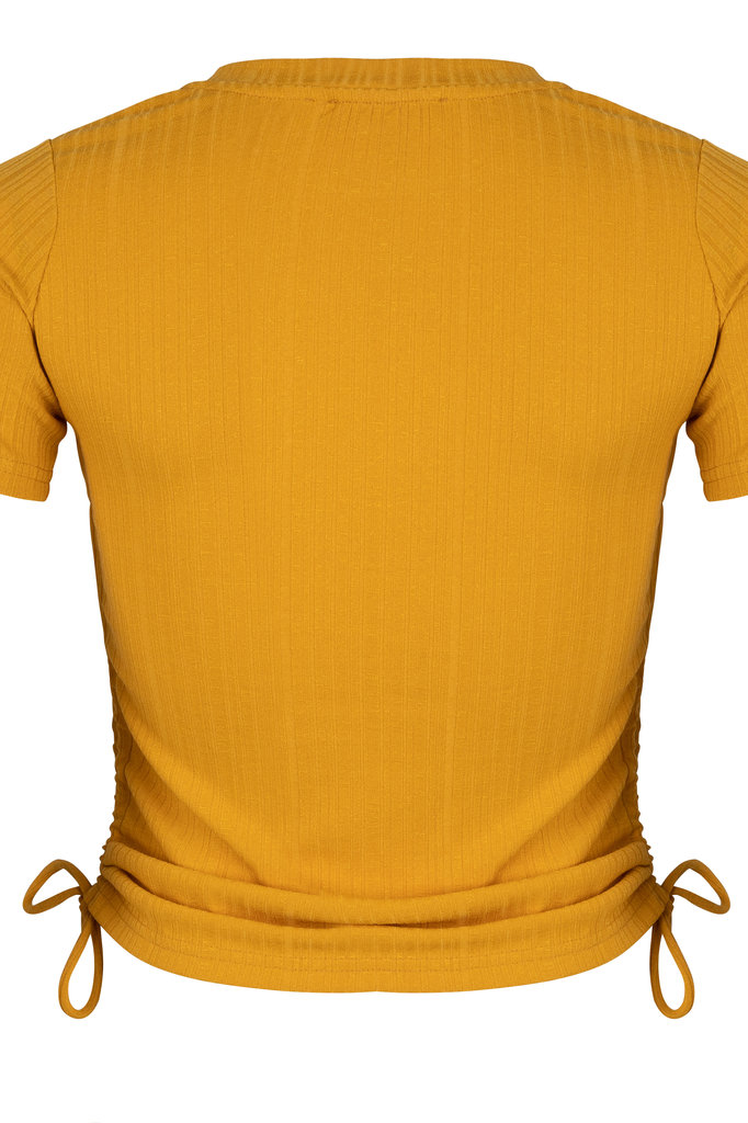 Lofty Manner Yellow ocher Top Danae