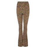 Lofty Manner Flared Floral Print Pants Fyona