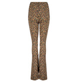 Lofty Manner Flared Floral Print Pants Fyona
