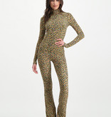Lofty Manner Flared Floral Print Pants Fyona