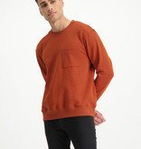 Lofty Manner Orange Jersey Dario