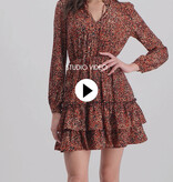 Lofty Manner Red Panther Print Dress Fayah