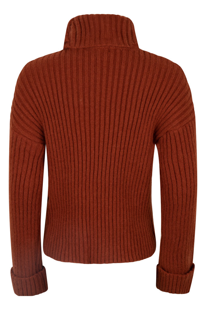 Lofty Manner Brown Turtleneck Inez