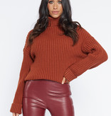 Lofty Manner Brown Turtleneck Inez