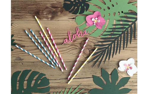 Tropical Decoratie Blaadjes - 21 stuks - Aloha