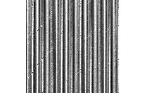 Rietjes Zilver - 10 stuks - 19,5 cm