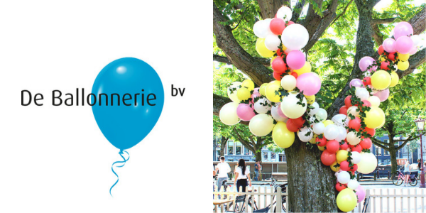 Ballon Decorateur De Ballonnerie
