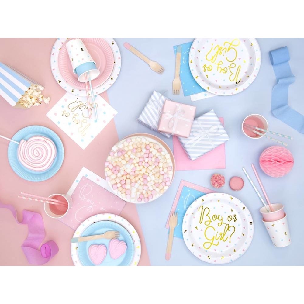 Baby Gender Reveal Bekers - 6 stuks - Boy or Girl feestartikelen