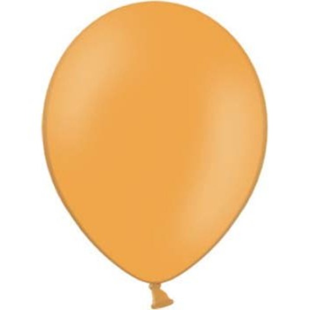 Ballon Oranje - 10 stuks - 30 cm