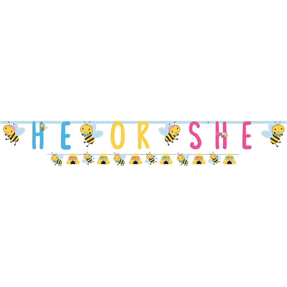 What Will It Bee? He Or She? Slingers - per set - Gender reveal feestartikelen