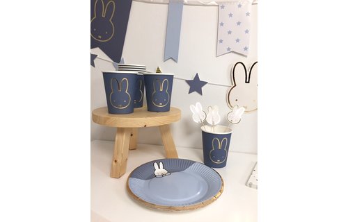 Nijntje Baby Blauw Bordjes - 8 stuks - Feest met nijntje