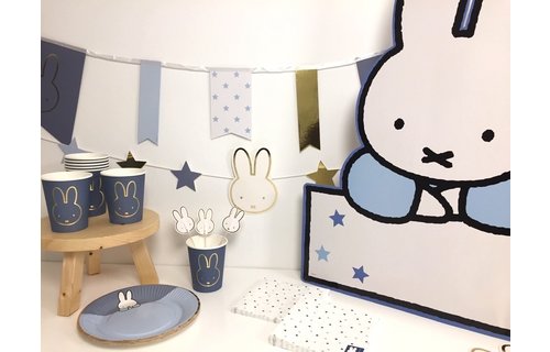 Nijntje Baby Blauw Bordjes - 8 stuks - Feest met nijntje