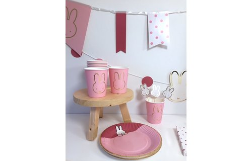 Nijntje Baby Roze Bordjes - 8 stuks - Feest met nijntje