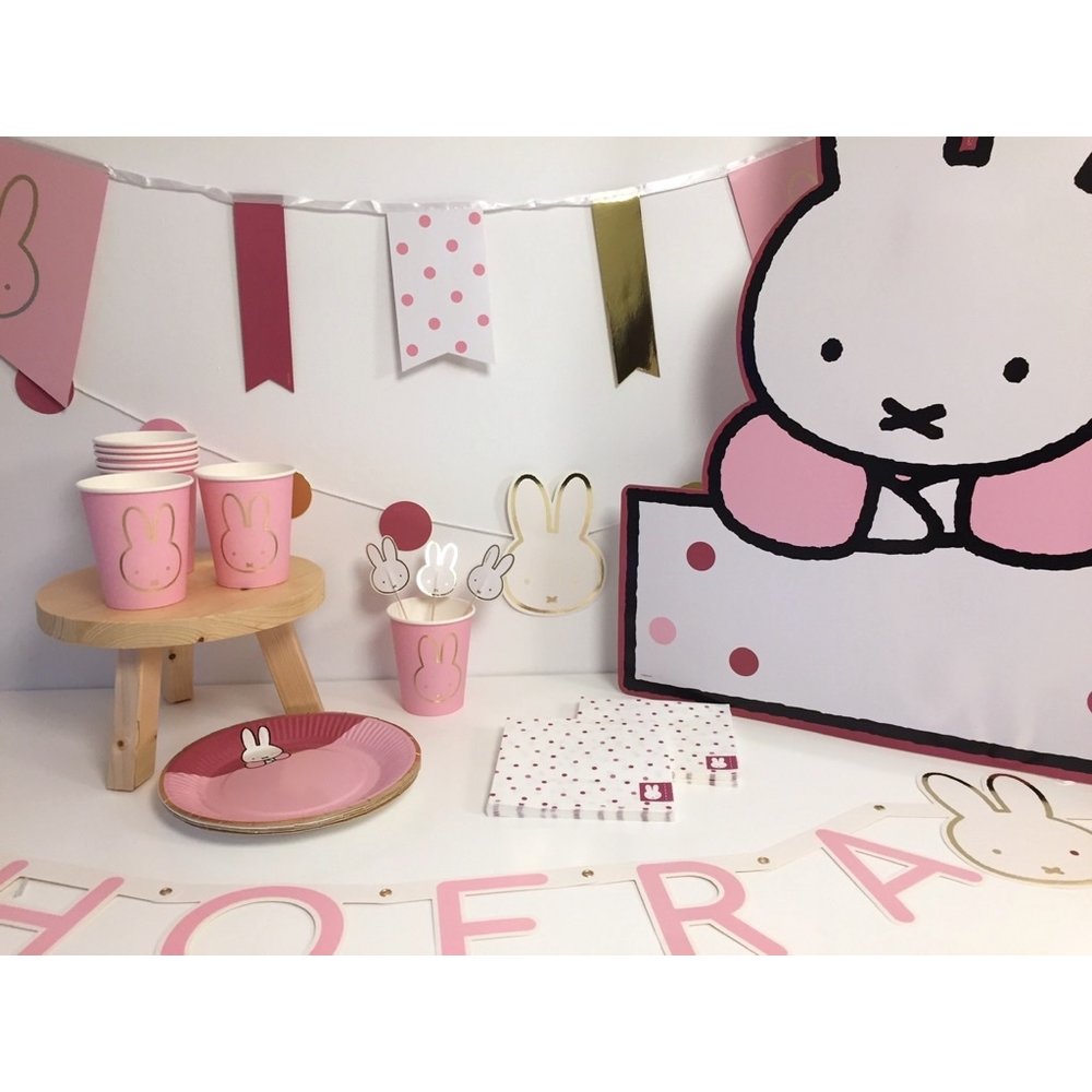 Nijntje Baby Roze Bordjes - 8 stuks - Feest met nijntje