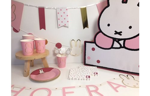 Nijntje Baby Roze Bordjes - 8 stuks - Feest met nijntje