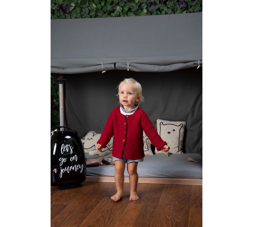 Cover Huis Bedframe Antraciet - 70 x 140 - Maak van het bed een tent