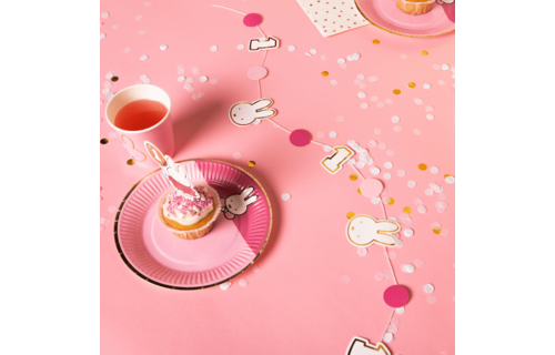 Nijntje Baby Roze Bordjes - 8 stuks - Feest met nijntje