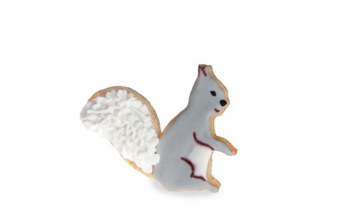 Woodland Cookie Cutters Kit - Set van 7 - Bosdieren feestartikelen en versiering