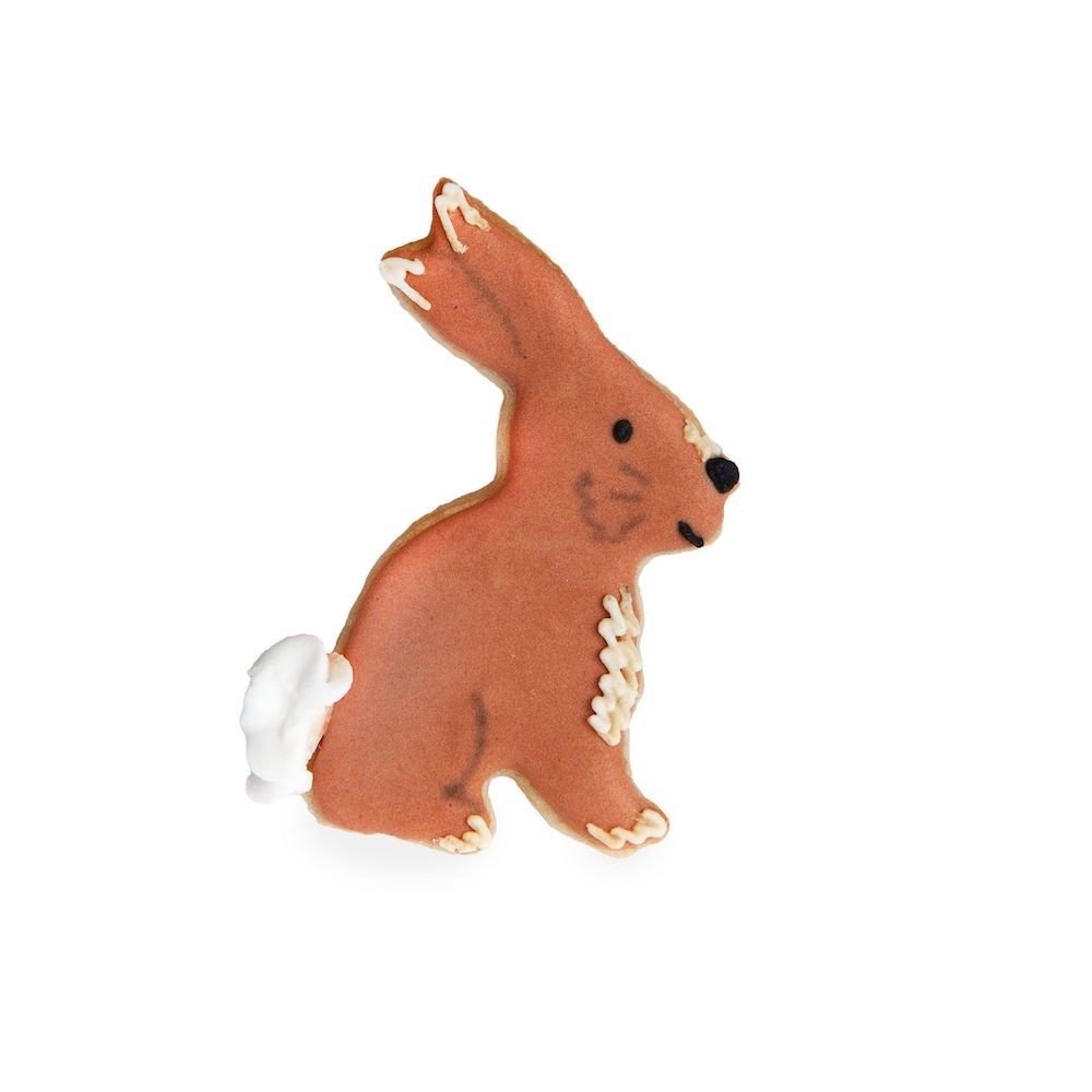 Woodland Cookie Cutters Kit - Set van 7 - Bosdieren feestartikelen en versiering