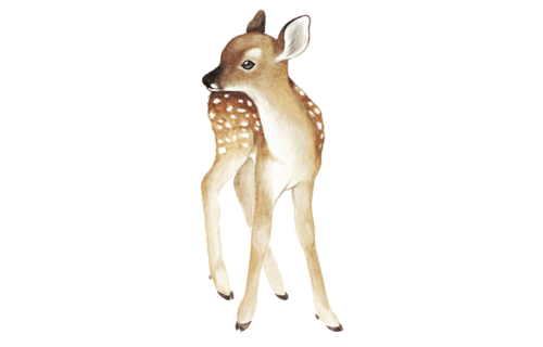 Muursticker Hert - per vel - Kinderkamerdecoratie