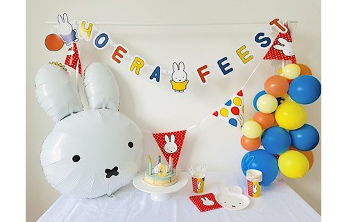 Nijntje Vlaggenlijn Feestelijk - per stuk - 6 meter