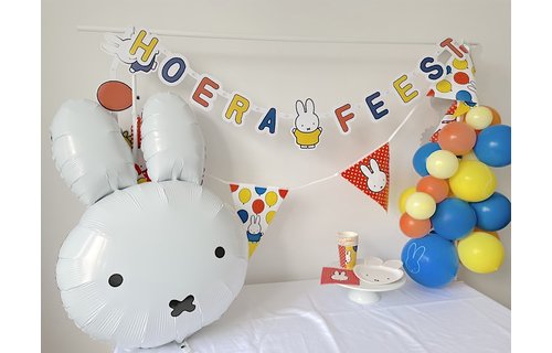 Nijntje Vlaggenlijn Feestelijk - per stuk - 6 meter