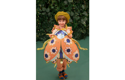 Lieveheersbeestje Folieballon (Supershape) - per stuk - Glam Ladybug