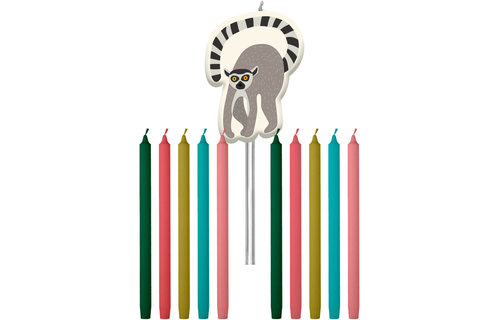 Animals Party Taartkaarsjes - 11 stuks - Wilde dieren feestartikelen