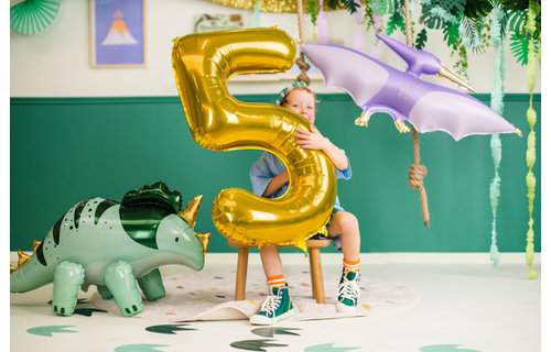 Dinosaurus Pterodactyl Folieballon - per stuk