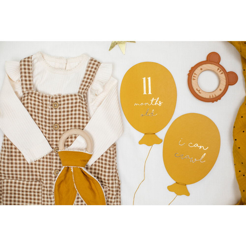 Mijlpaalkaarten Baby Eerste Jaar (Ballonnen) - per set - Milestones